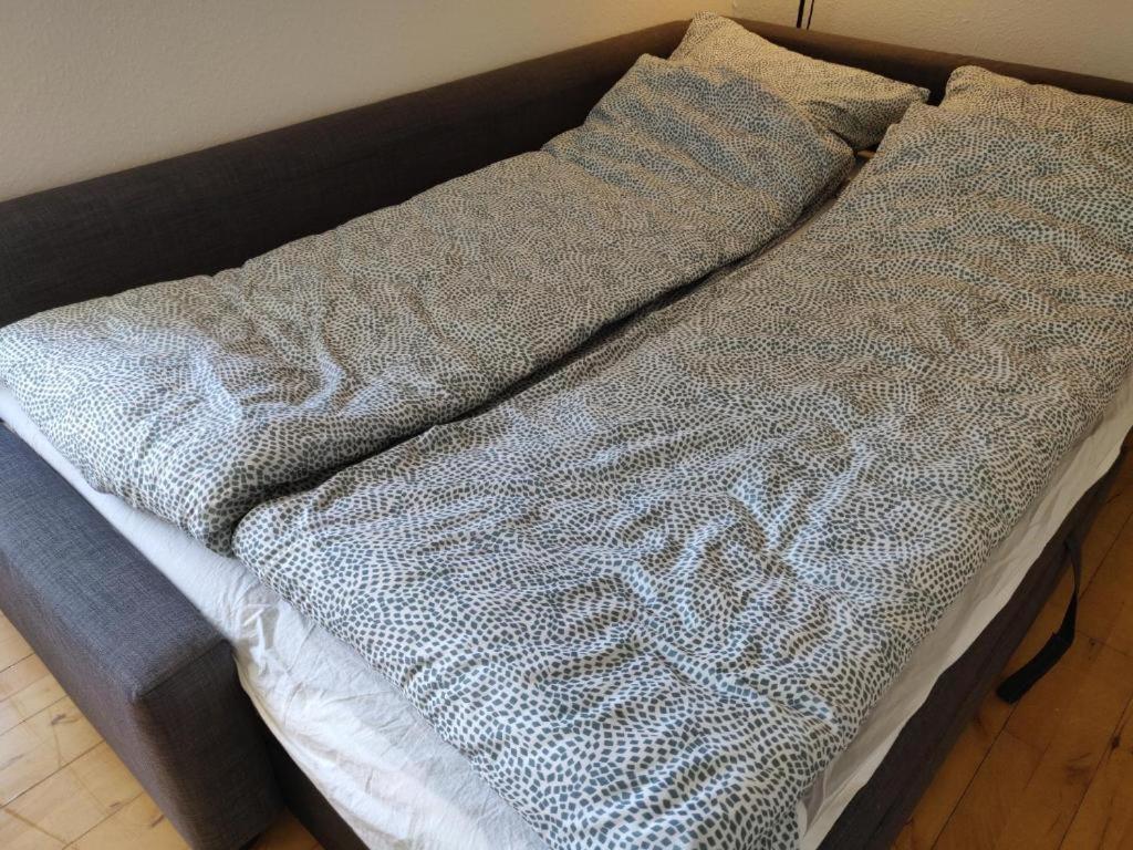 Dronninglund Appartements 객실 사진